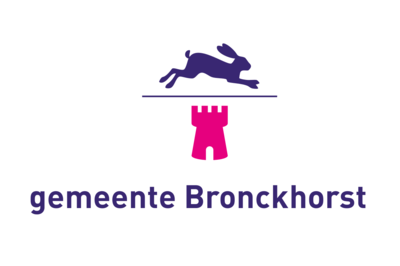 1200px-bronckhorst-vlag-svg 2